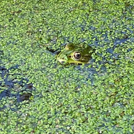 Familiale Namaste Bed & Breakfast 3*