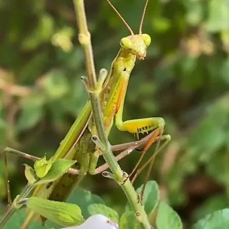 Bed & Breakfast Familiale Namaste Rouvre