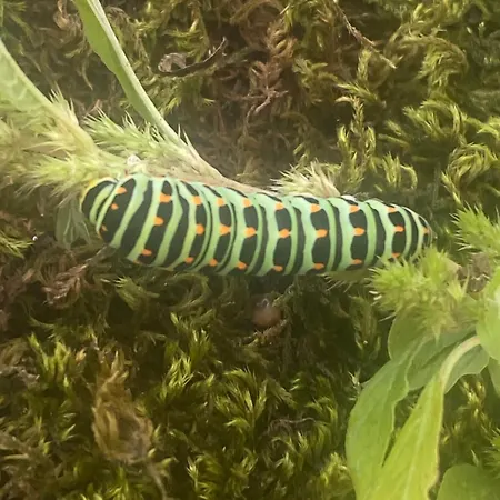 Familiale Namaste 3*