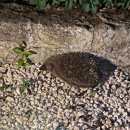 Bed & Breakfast Familiale Namaste Rouvre