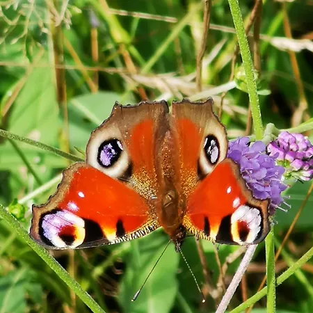 Bed & Breakfast Familiale Namaste Rouvre