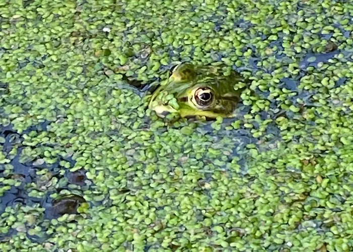 Familiale Namaste Bed and breakfast 3*