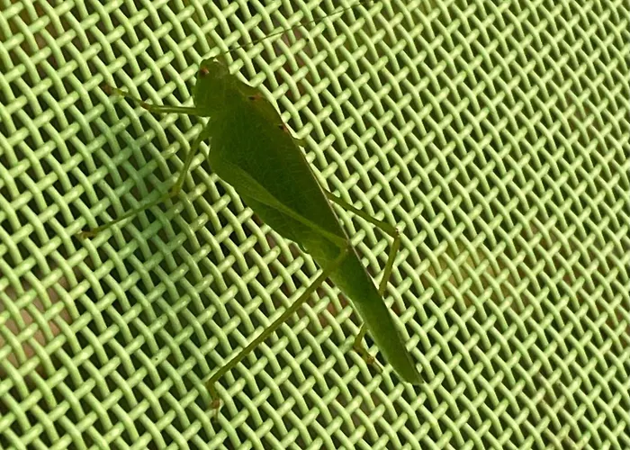 Bed and breakfast Familiale Namaste Rouvre