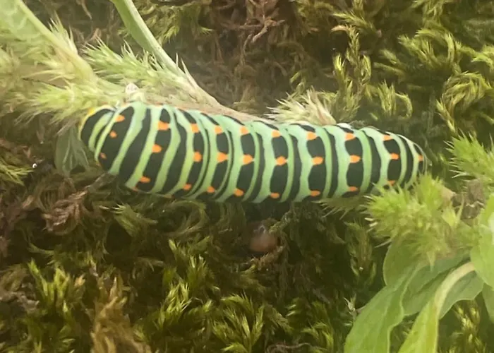 Familiale Namaste 3*