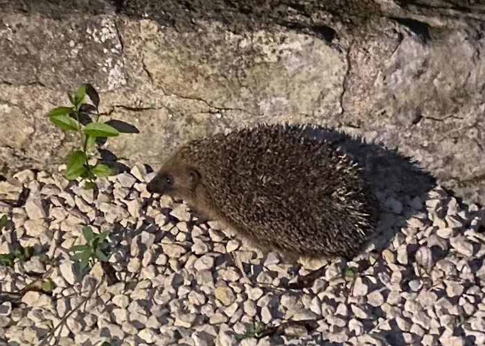 Bed and breakfast Familiale Namaste Rouvre