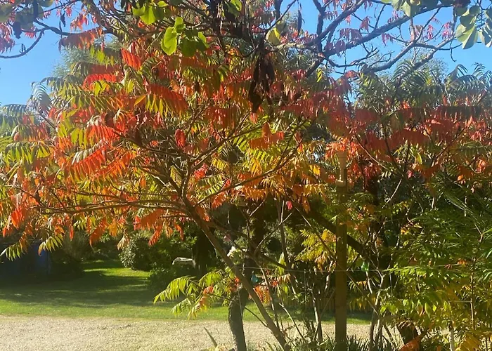 Bed and breakfast Familiale Namaste Rouvre