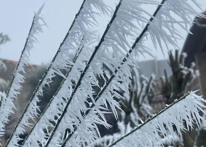 Familiale Namaste Bed and breakfast